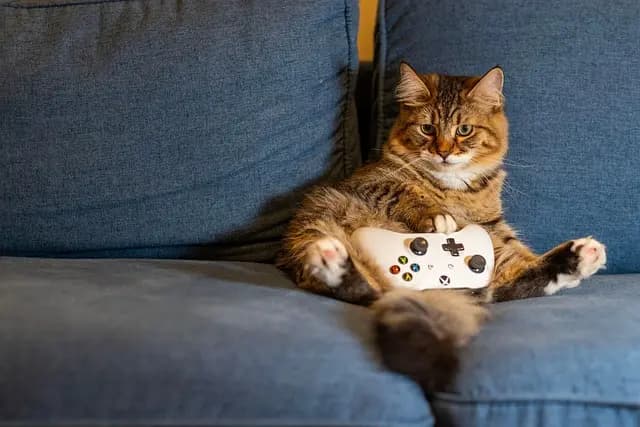Les technologies en direct : Quelle tendance pour l'e-sport en 2026 ?